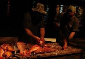 Marquesas always plenty of food © BW Media